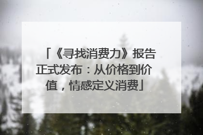 《寻找消费力》报告正式发布：从价格到价值，情感定义消费