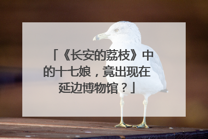《长安的荔枝》中的十七娘，竟出现在延边博物馆？
