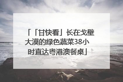 「甘快看」长在戈壁大漠的绿色蔬菜38小时直达粤港澳餐桌