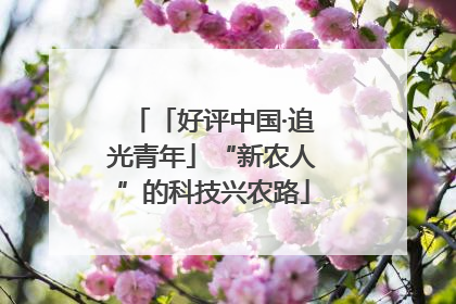 「好评中国·追光青年」“新农人”的科技兴农路