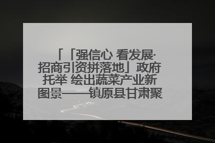 「强信心 看发展·招商引资拼落地」政府托举 绘出蔬菜产业新图景——镇原县甘肃聚广利现代设施蔬菜种植基地见闻