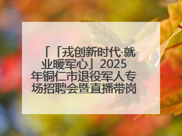 「戎创新时代·就业暖军心」2025年铜仁市退役军人专场招聘会暨直播带岗活动顺利举行
