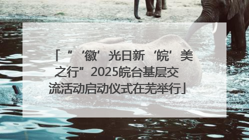 “‘徽’光日新‘皖’美之行”2025皖台基层交流活动启动仪式在芜举行