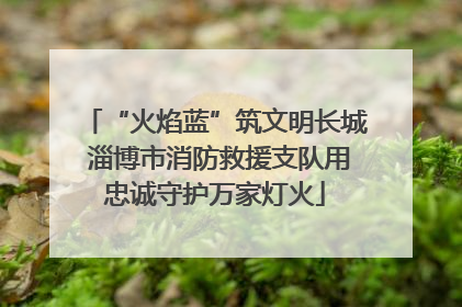“火焰蓝”筑文明长城 淄博市消防救援支队用忠诚守护万家灯火