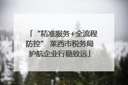 “精准服务+全流程防控” 莱西市税务局护航企业行稳致远