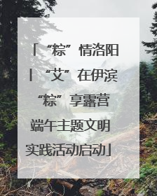 “粽”情洛阳丨“艾”在伊滨 “粽”享露营 端午主题文明实践活动启动