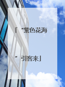 “紫色花海”引客来
