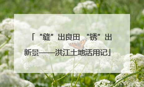 “缝”出良田 “锈”出新景——洪江土地活用记