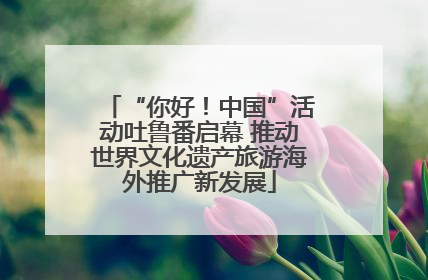 “你好！中国”活动吐鲁番启幕 推动世界文化遗产旅游海外推广新发展