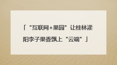 “互联网+果园”让桂林灌阳李子果香飘上“云端”