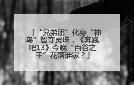 “兄弟团”化身“神鸟”智夺灵珠，《奔跑吧13》今晚“百谷之王”花落谁家？
