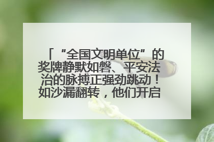 “全国文明单位”的奖牌静默如磐、平安法治的脉搏正强劲跳动！如沙漏翻转，他们开启了全新的计时