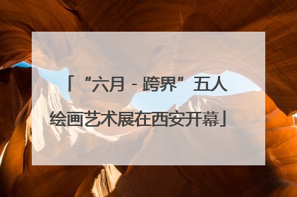 “六月 - 跨界”五人绘画艺术展在西安开幕