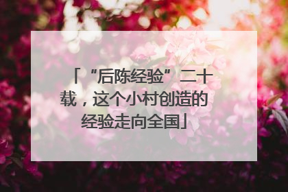 “后陈经验”二十载，这个小村创造的经验走向全国