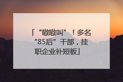 “嗷嗷叫”！多名“85后”干部，挂职企业补短板