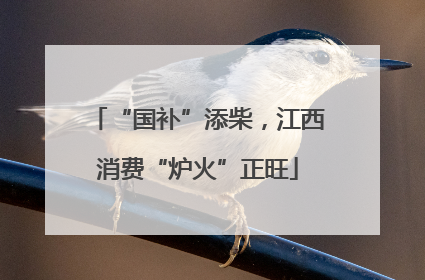 “国补”添柴，江西消费“炉火”正旺