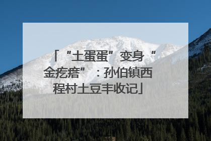 “土蛋蛋”变身“金疙瘩”：孙伯镇西程村土豆丰收记