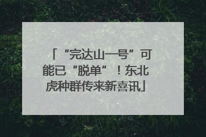 “完达山一号”可能已“脱单”！东北虎种群传来新喜讯