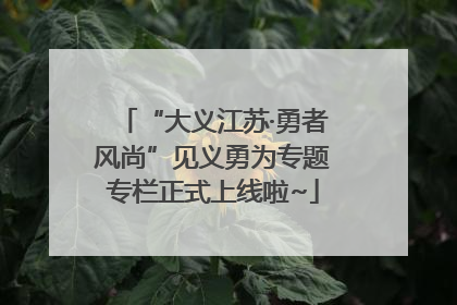 “大义江苏·勇者风尚”见义勇为专题专栏正式上线啦~