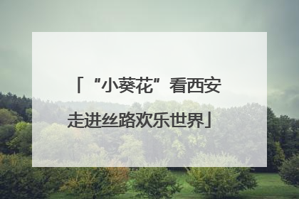 “小葵花”看西安走进丝路欢乐世界