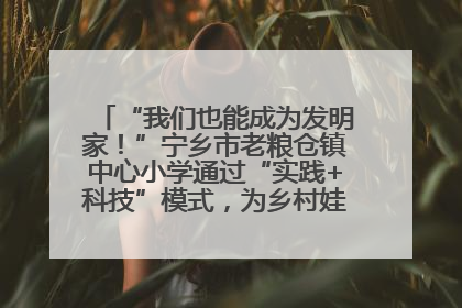 “我们也能成为发明家！”宁乡市老粮仓镇中心小学通过“实践+科技”模式，为乡村娃探索教育新路径