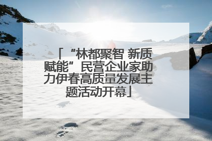 “林都聚智 新质赋能”民营企业家助力伊春高质量发展主题活动开幕
