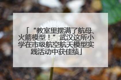 “教室里摆满了航母、火箭模型！”武汉这所小学在市级航空航天模型实践活动中获佳绩