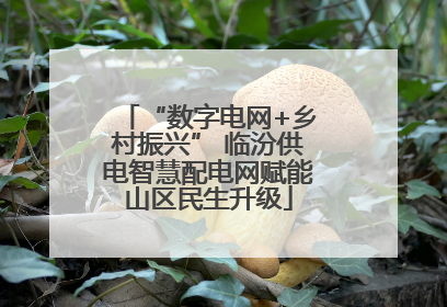 “数字电网+乡村振兴” 临汾供电智慧配电网赋能山区民生升级