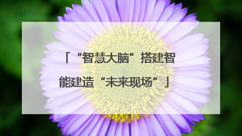 “智慧大脑”搭建智能建造“未来现场”
