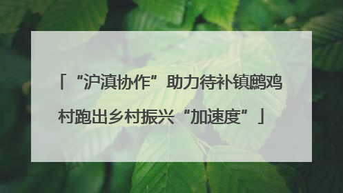 “沪滇协作”助力待补镇鹧鸡村跑出乡村振兴“加速度”