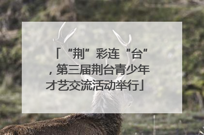 “荆”彩连“台”，第三届荆台青少年才艺交流活动举行