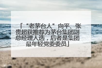 “老茅台人”向平、张贵超获推荐为茅台集团副总经理人选，后者是集团最年轻党委委员