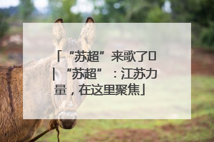 “苏超”来歌了⑪｜“苏超”：江苏力量，在这里聚焦