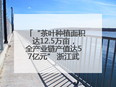 “茶叶种植面积达12.5万亩，全产业链产值达57亿元” 浙江武义茶产业全链发展“加速度”