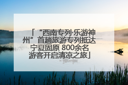 “西南专列·乐游神州”首趟旅游专列抵达宁夏固原 800余名游客开启清凉之旅