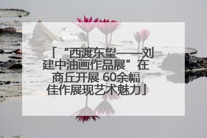 “西渡东望——刘建中油画作品展”在商丘开展 60余幅佳作展现艺术魅力