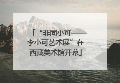 “非同小可——李小可艺术展”在西藏美术馆开幕