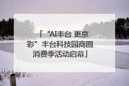 “AI丰台 更京彩”丰台科技园商圈消费季活动启幕