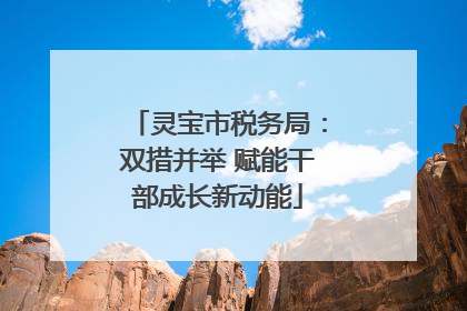 灵宝市税务局：双措并举 赋能干部成长新动能