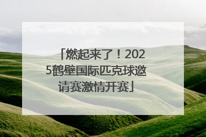燃起来了！2025鹤壁国际匹克球邀请赛激情开赛