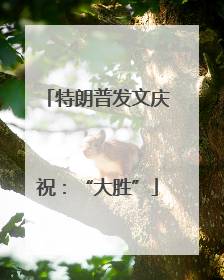 特朗普发文庆祝：“大胜”