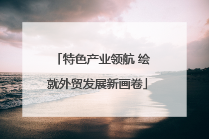 特色产业领航 绘就外贸发展新画卷