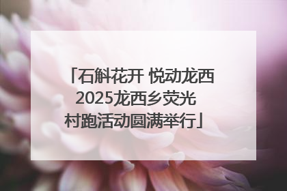 石斛花开 悦动龙西 2025龙西乡荧光村跑活动圆满举行