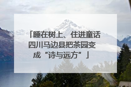 睡在树上、住进童话 四川马边县把茶园变成“诗与远方”