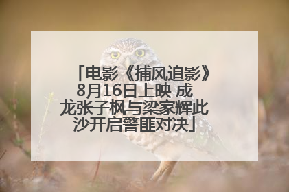 电影《捕风追影》8月16日上映 成龙张子枫与梁家辉此沙开启警匪对决