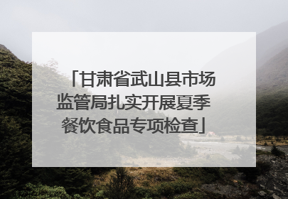 甘肃省武山县市场监管局扎实开展夏季餐饮食品专项检查