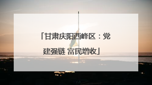 甘肃庆阳西峰区：党建强链 富民增收