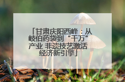 甘肃庆阳西峰：从岐伯药袋到“千万”产业 非遗技艺激活经济新引擎