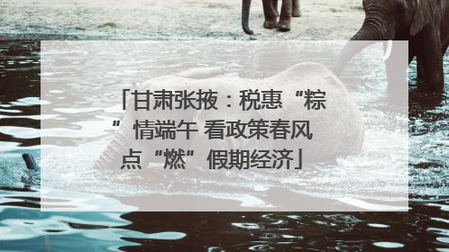 甘肃张掖：税惠“粽”情端午 看政策春风点“燃”假期经济