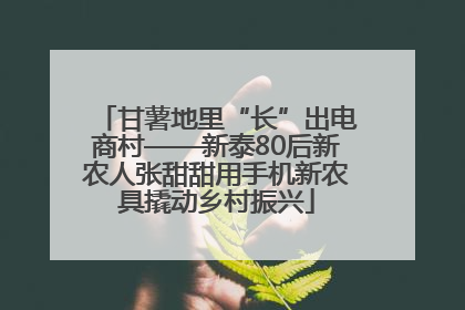 甘薯地里“长”出电商村——新泰80后新农人张甜甜用手机新农具撬动乡村振兴